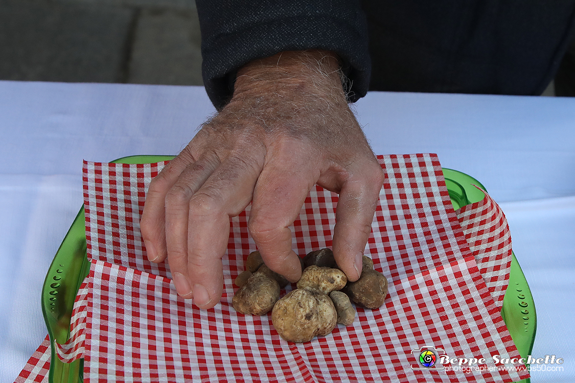 VBS_5651 - 10.ma Fiera Nazionale del Tartufo e Fiera dei Santi.jpg
